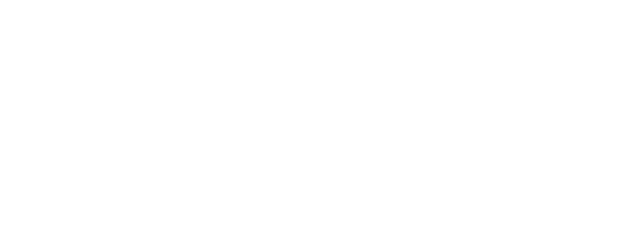 The Assessment